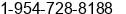 Fax number of Mr. shahid n chowdhury at ft lauderdale