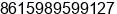 Mobile number of Mr. channing wang at shenzhen