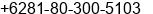 Phone number of Mr. Chris Kukuh at Surabaya