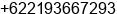 Phone number of Mr. echo at Jakarta