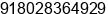 Phone number of Mr. Tirumalesha B.S. at Bangalore